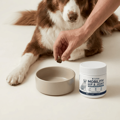 Daily Hip & Joint Chews