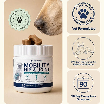 Daily Hip & Joint Chews